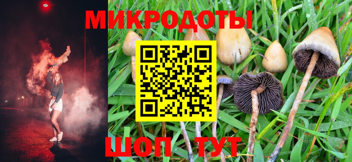 Псилоцибиновые грибы прущие грибы Россошь